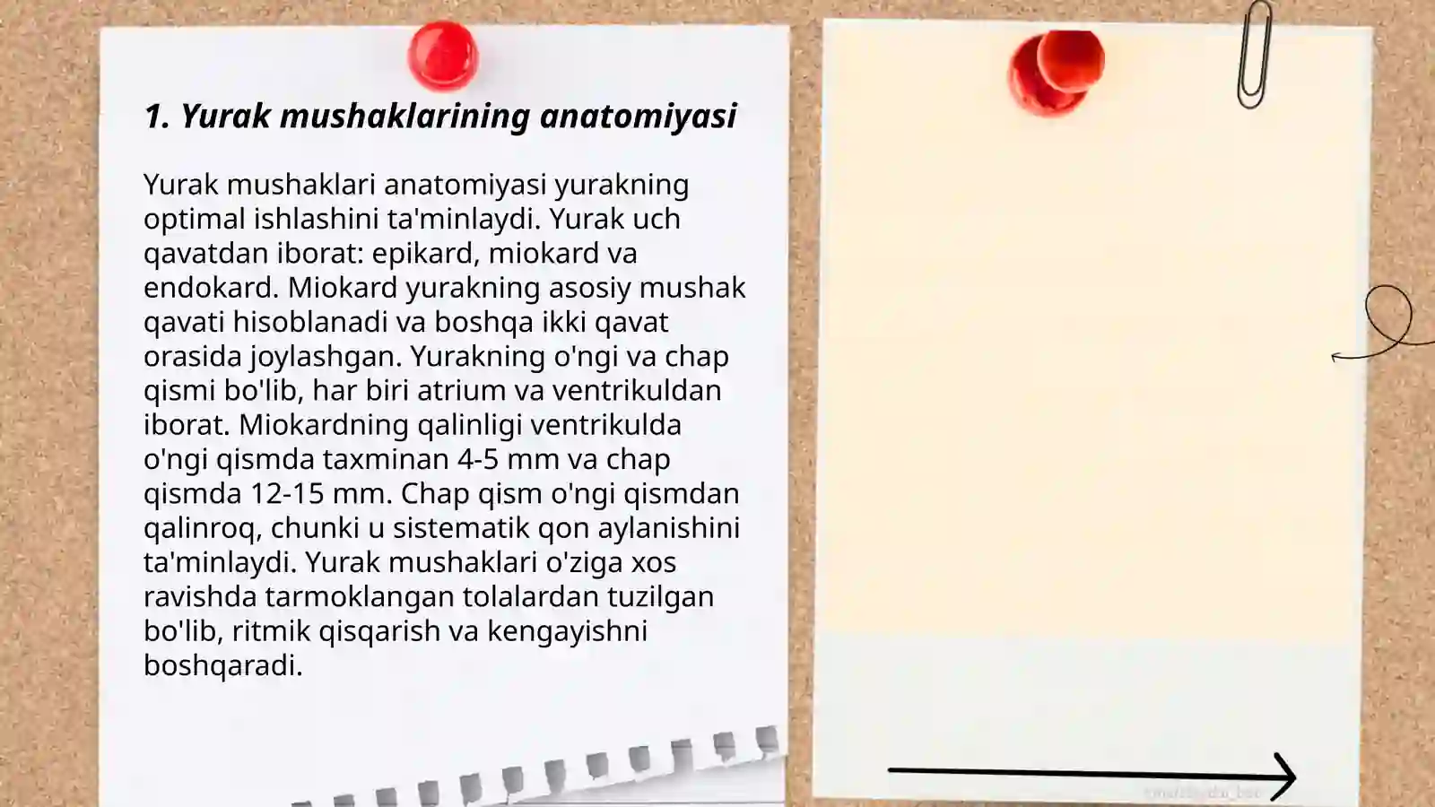 Qon aylanishi. Yurak muskullari fiziologiyasi 3