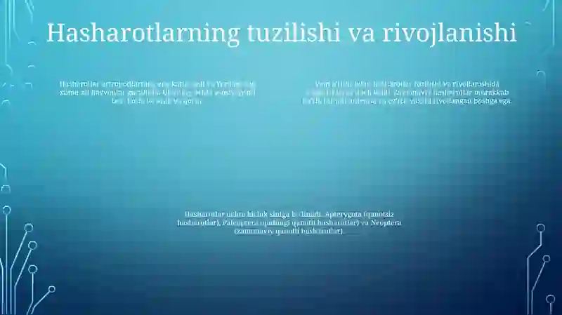 Hasharotlar Katta Sinfi: Vakillarining Tuzilishi Va Ko'Payishi 3
