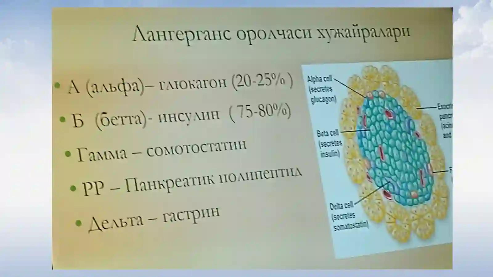 Инсулинотерапия 3