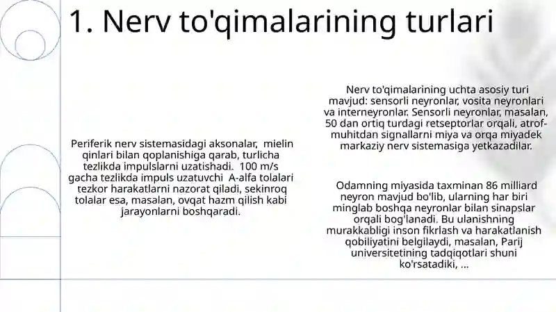 Muskul va Nerv toʻqimasi 3