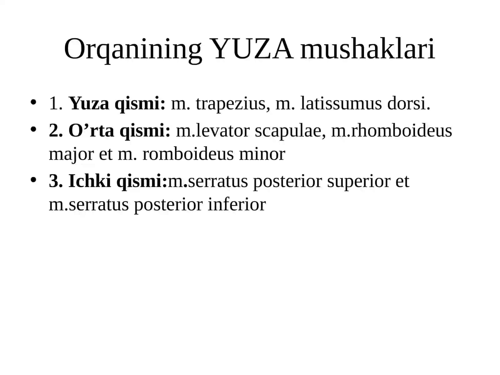 MUSHAKLARTASNIFl 3
