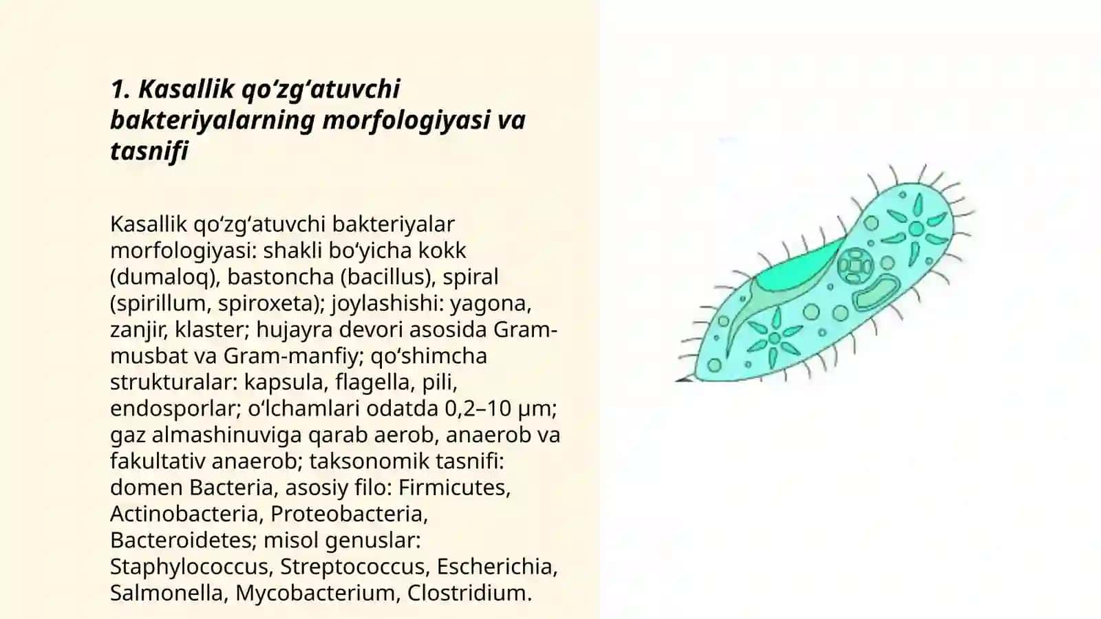 Kasallik qoʻzgʻatuvchi bir hujayralilar 3
