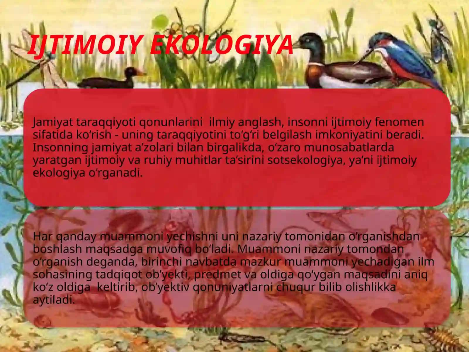 Biotsenoz.Biogeotsenekotizmlarningtuzilmalarivahususiyatlari.Ekotizmlarnio’zgarishisuksessiyahodisasi 3