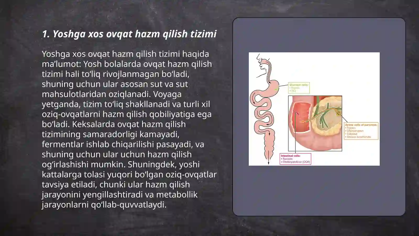 Yoshga xos ovqat hazm qilish tizimi 3