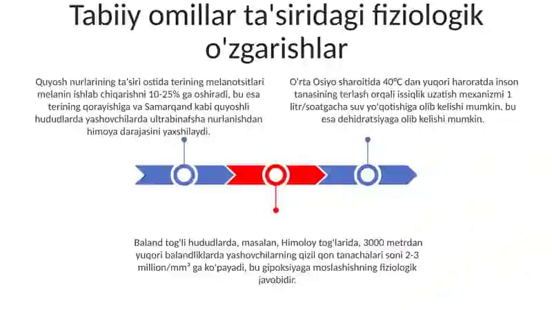 Tabiiy va sun’iy omillar ta’sirida inson organizmida sodir bo’ladigan fiziologik o’zgarishlar 3