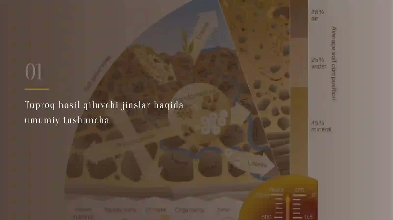 TUPROQ HOSIL QILUVCHI JINSLAR 3