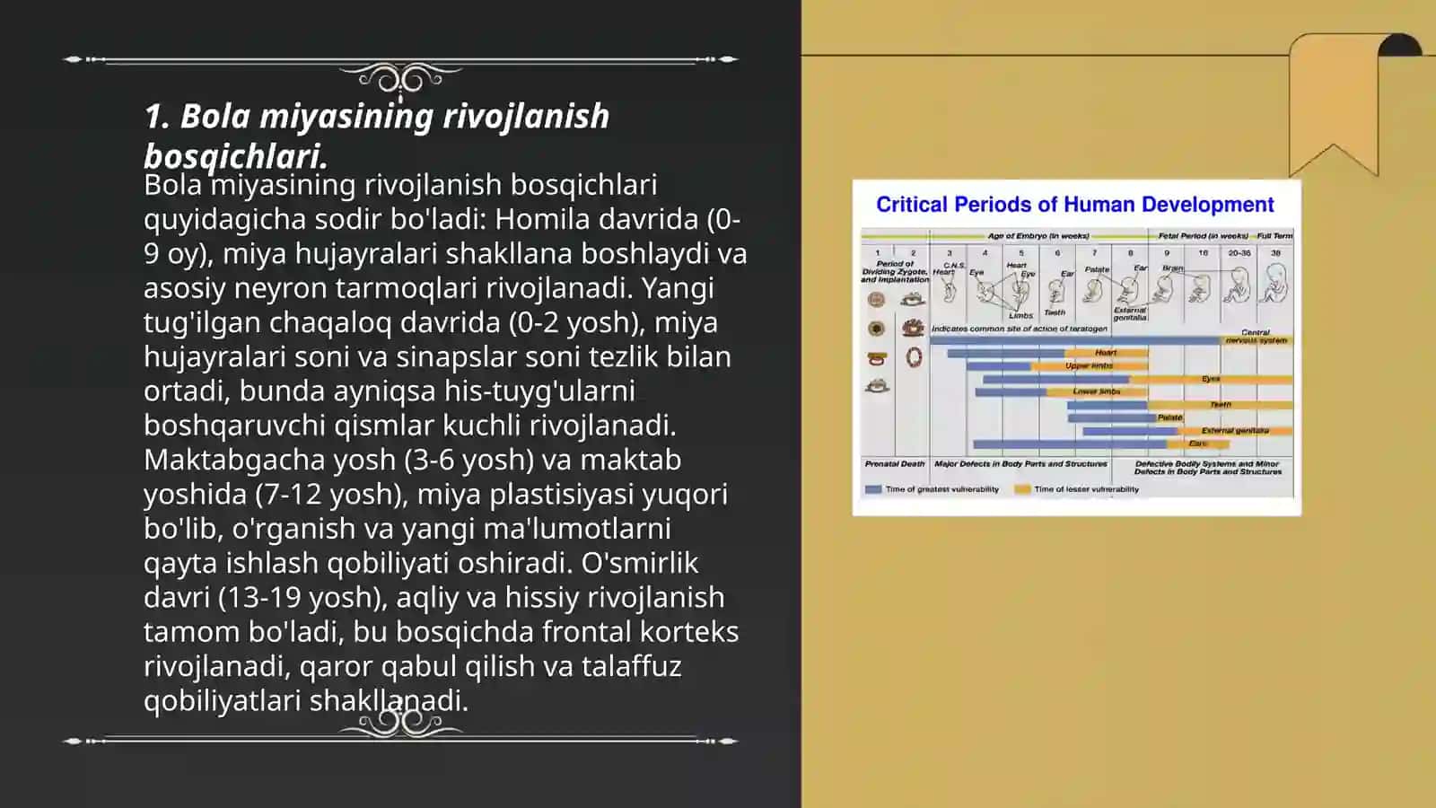 Bola miyasining zaifligi va kranial nervlar 3