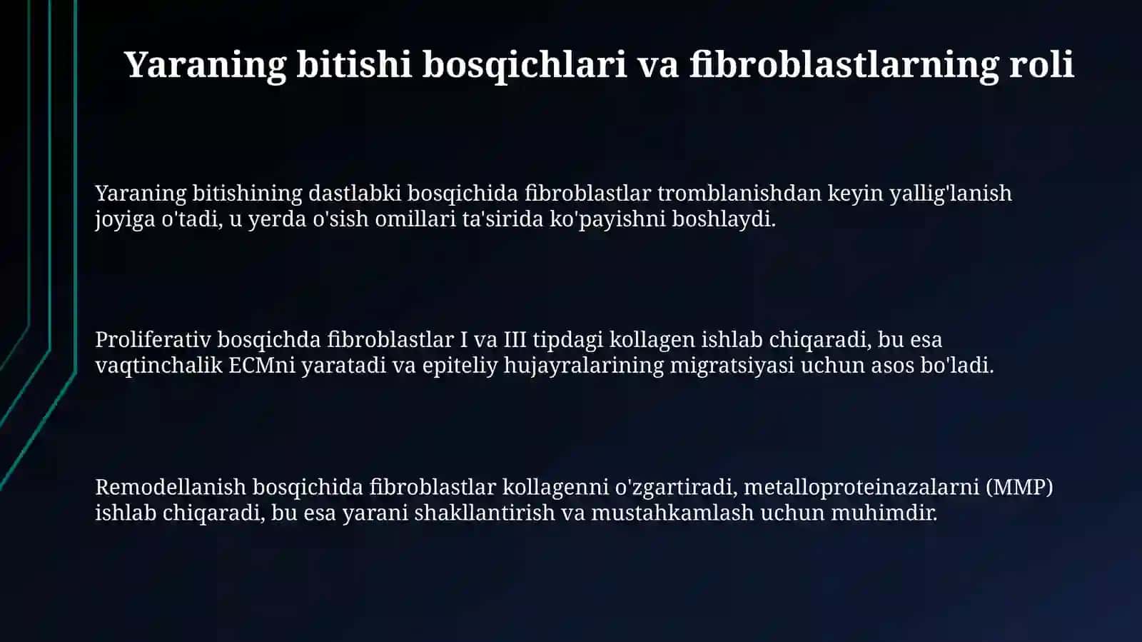 Fibroblastlarning jarohatlarning bitishi va chandiq hosil bo'lishdagi roli 3