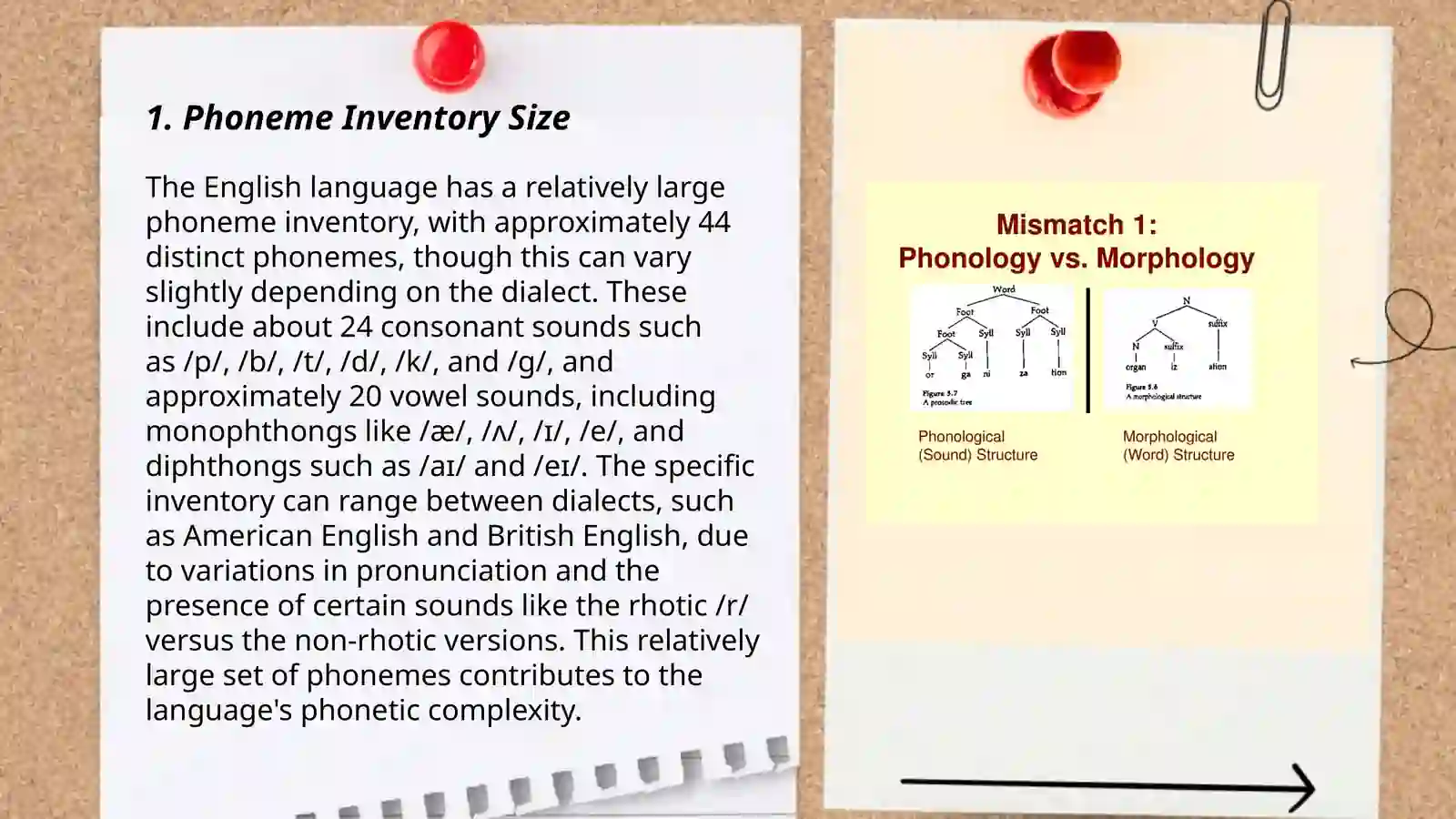 Phonological typology 3