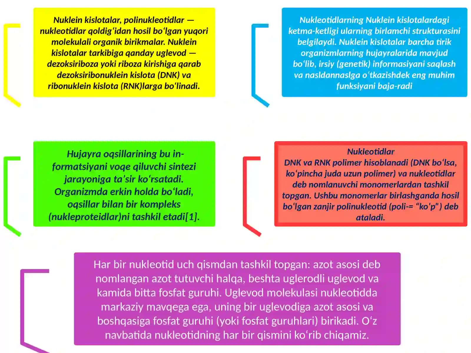 Abdullayeva Ra’noxonning Biokimyofanidan Nukleinkislotalar DNK va RNK’’ mavzusidatayyorlagan Taqdimoti 3
