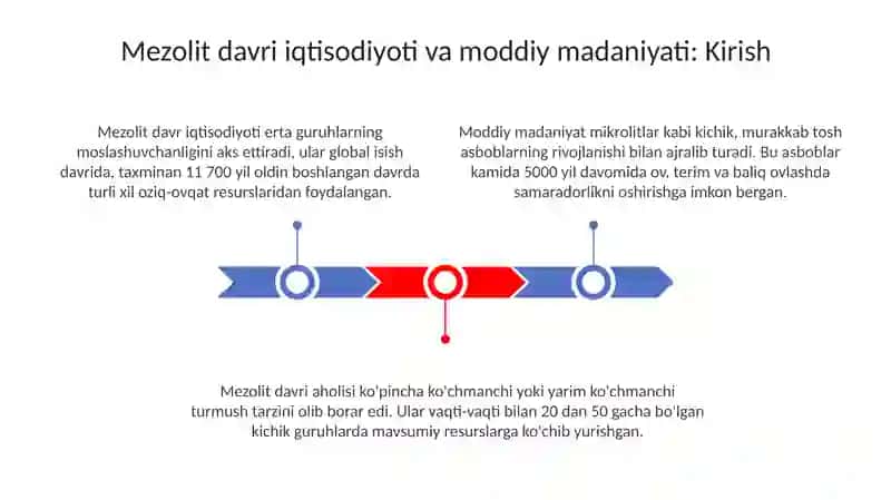 Mezolit davri iqtisodiyoti va moddiy madaniyati 3