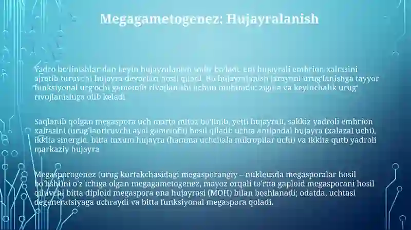 Megasporogenez va urugʻchigametofetning rivojlanishi 3