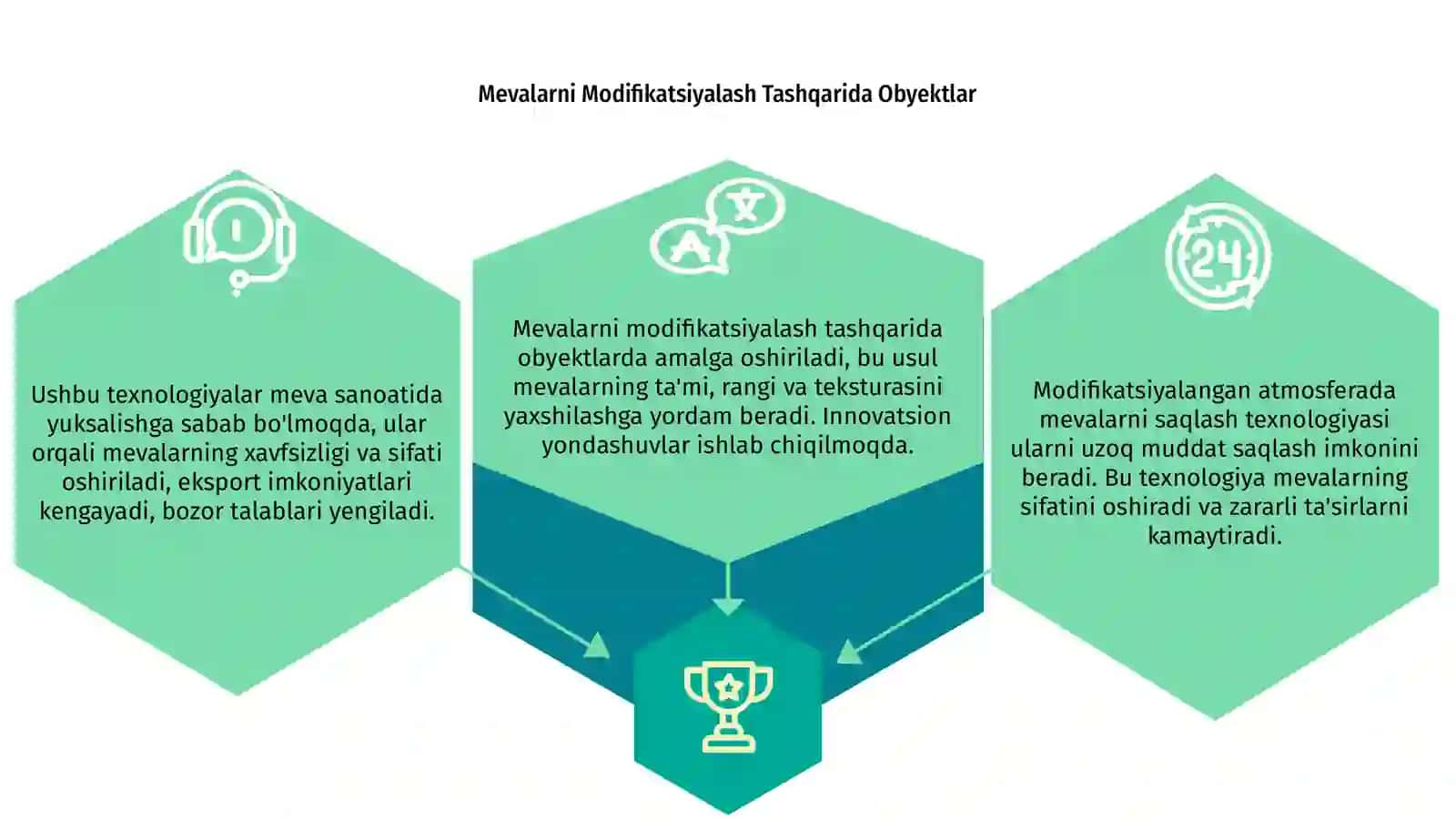 Mevalarni Modifikatsiyalangan atmosferada saqlash texnologiyasi 3
