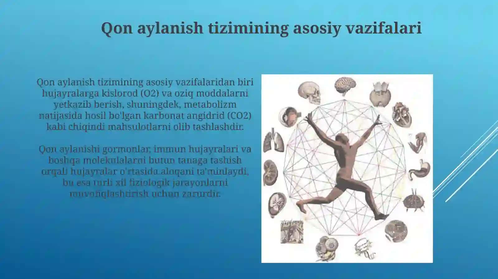 Fizologiya faniga kirish qon aylanish tizimining fizologik asoslari 3