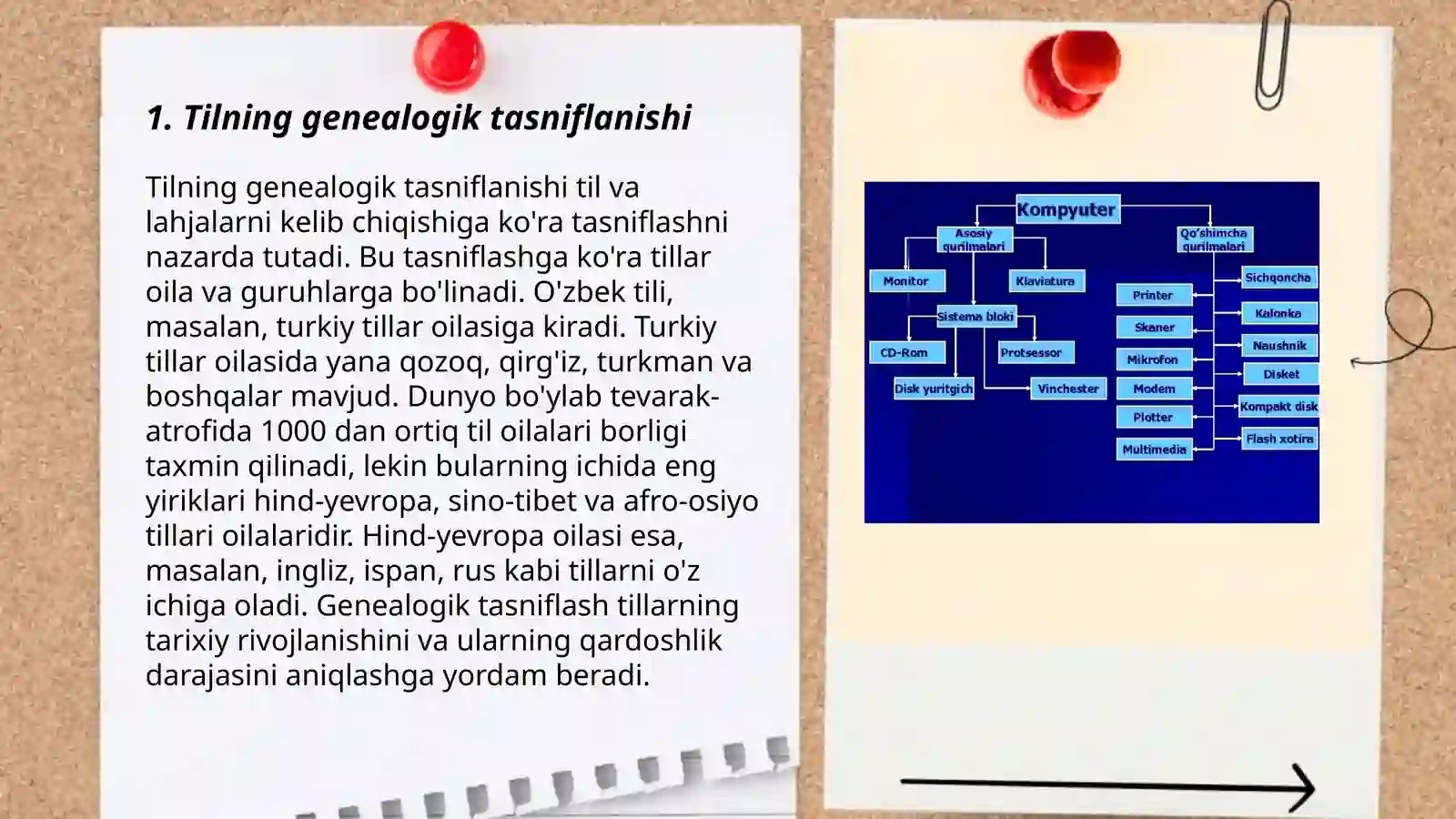 Tilning genealogik tasnifi 3