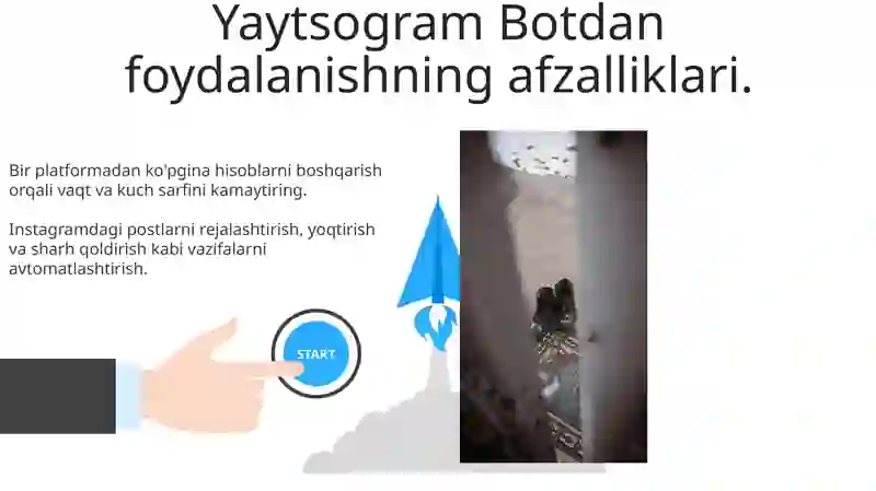 Yaytsogram Bot 3
