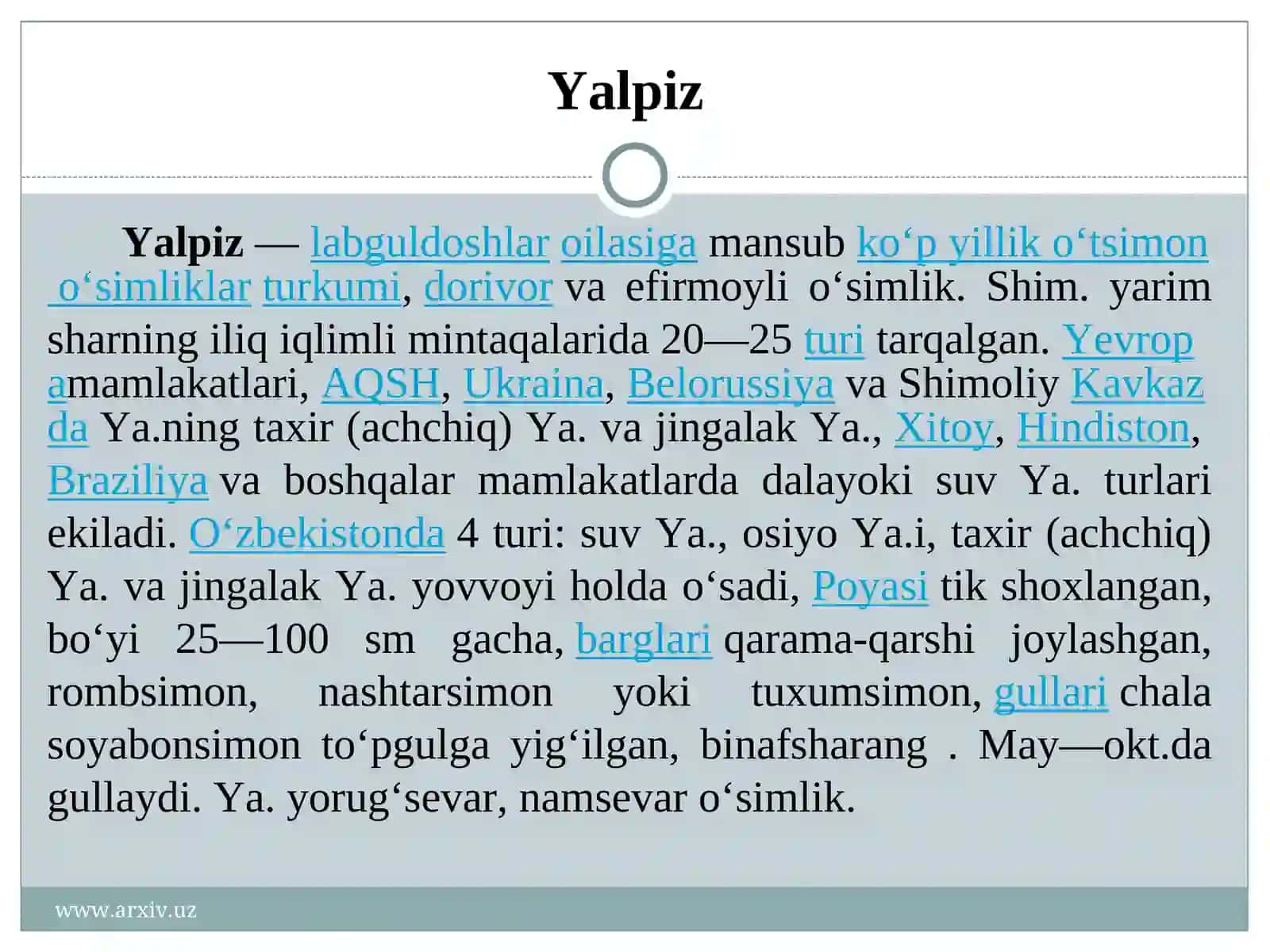 Yalpiz 3