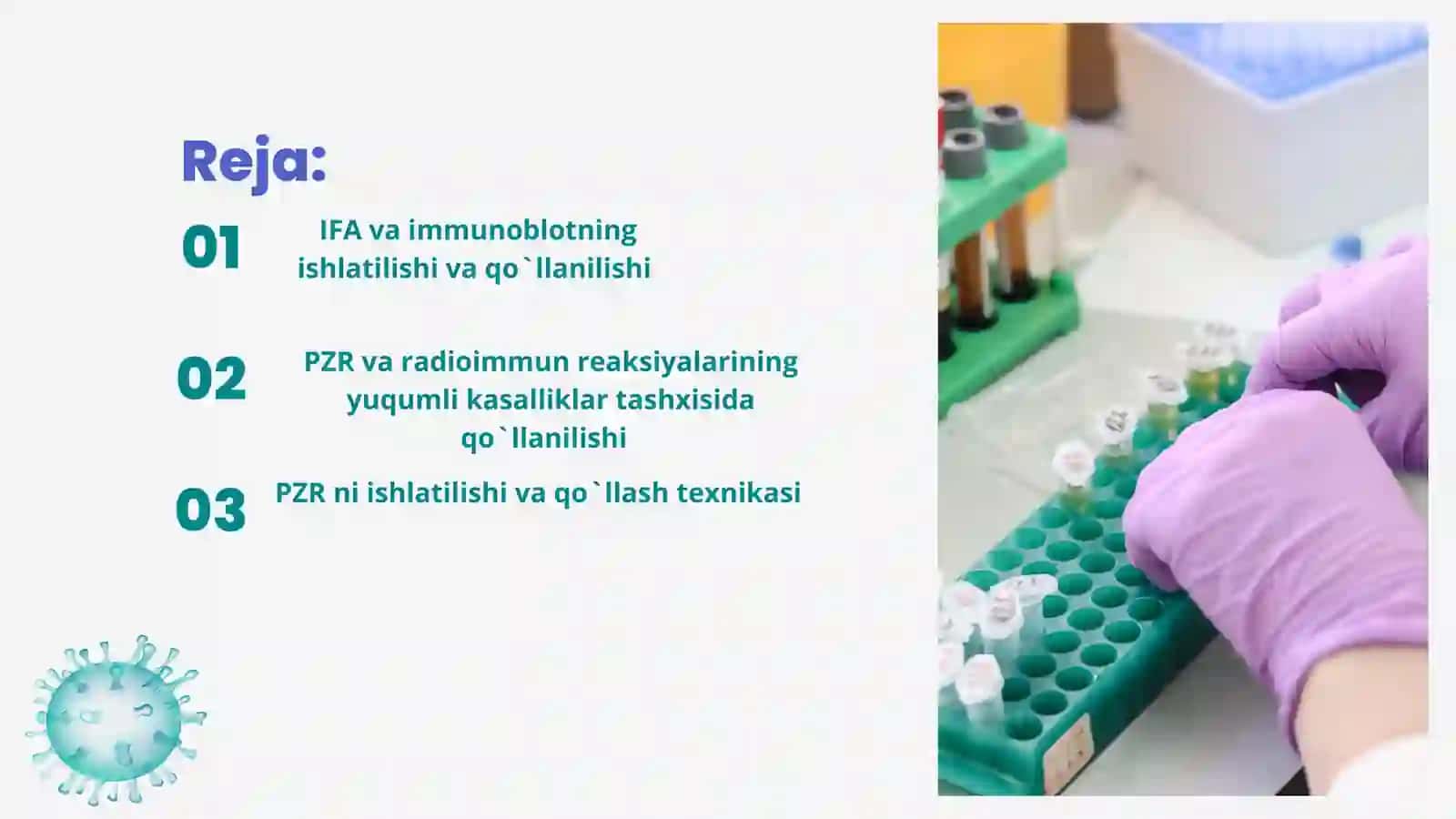 IFA, immunoblot, PZR, radioimmun reaksiyalarning yuqumli kasalliklar tashxisida qo`llanilishi, qo`yi 3