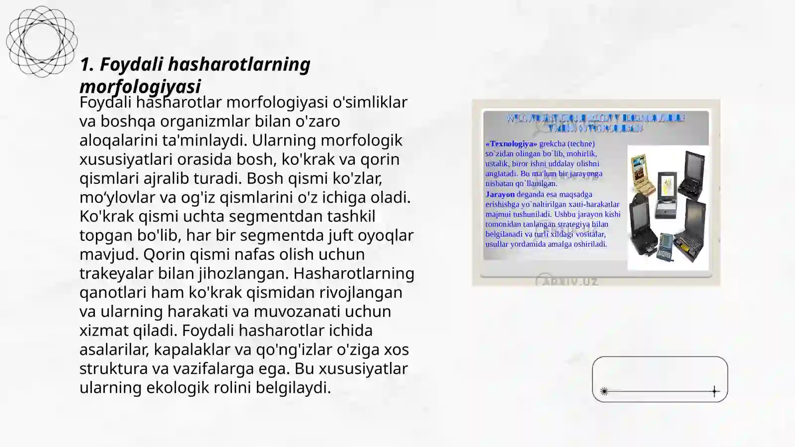 Foydali hasharotlarning umumiy tuzilishi 3