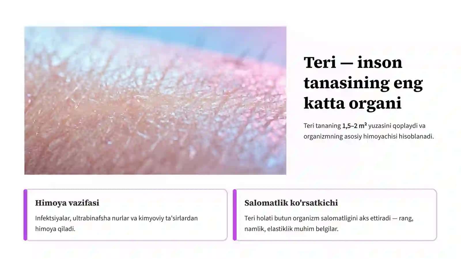Teri gigiyenasi va teri shikastlanganda birinchi yordam 3