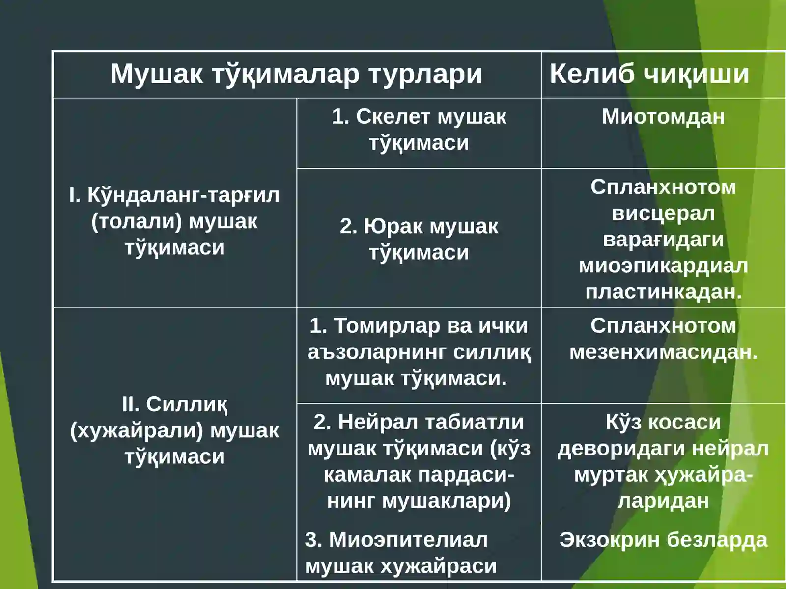 Мушак тўқимаси 3