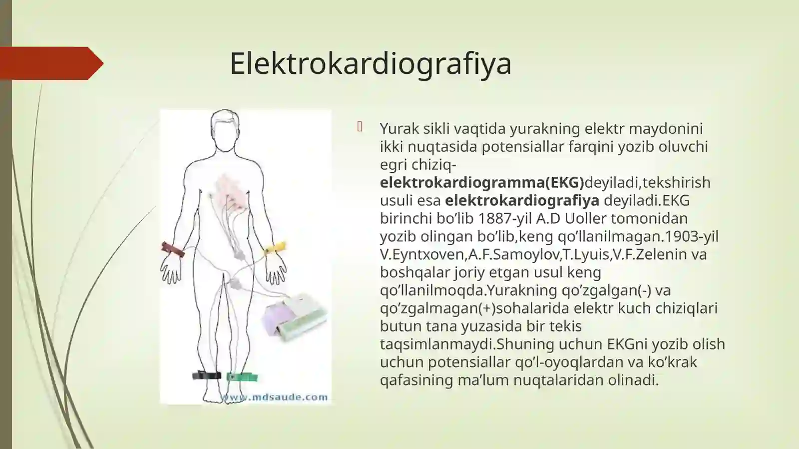 Yurak faoliyatini tekshirish usullari 3