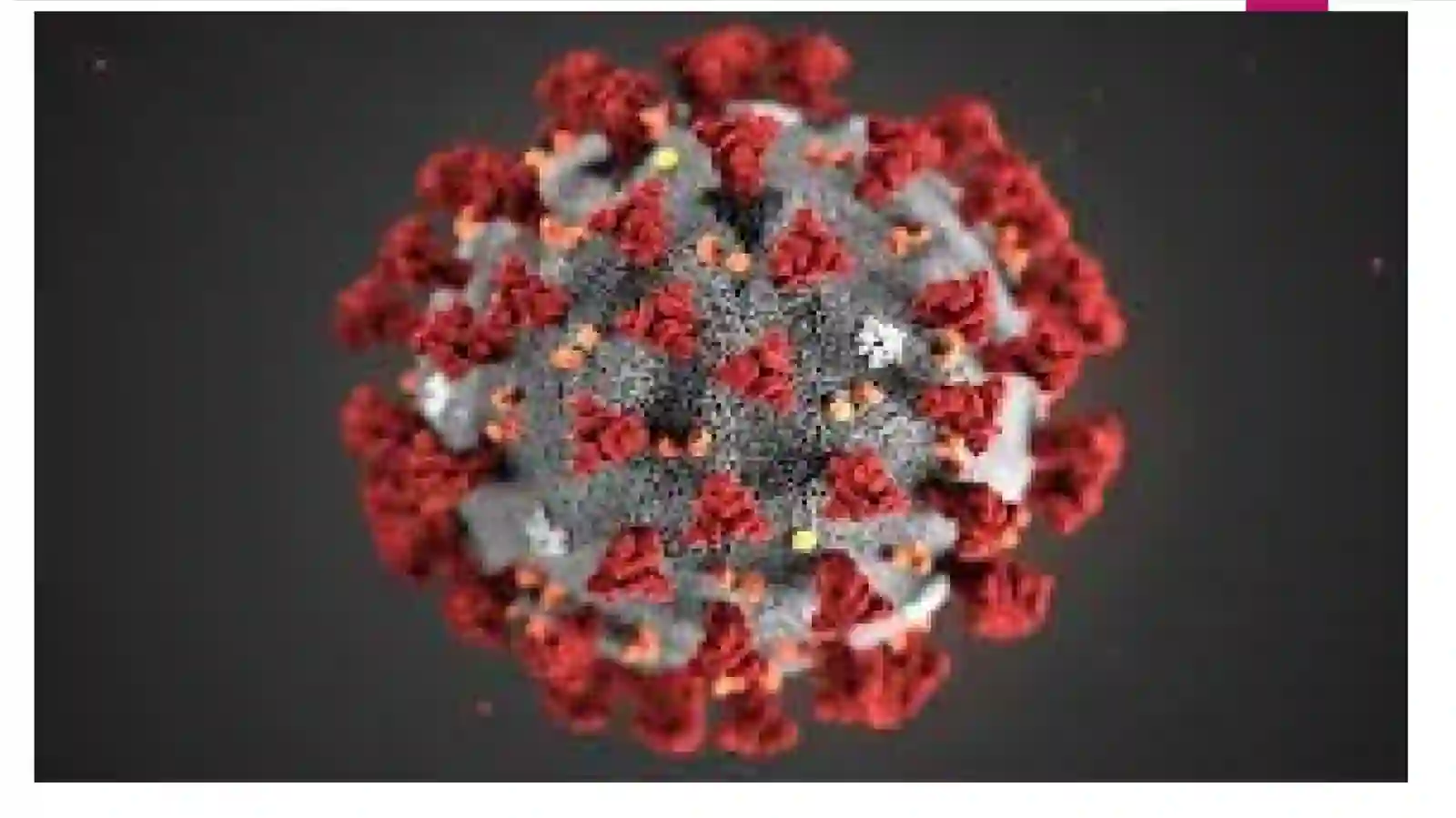 Koronavirus 3