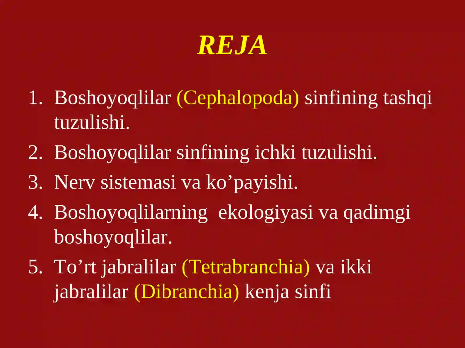 Boshoyoqlilar(Cephalopoda)sinfining tashqi tuzulishi 3