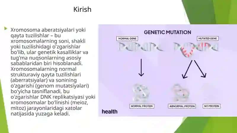 Xromosoma abberatsiyalari yoki qaytatuzulishi 3