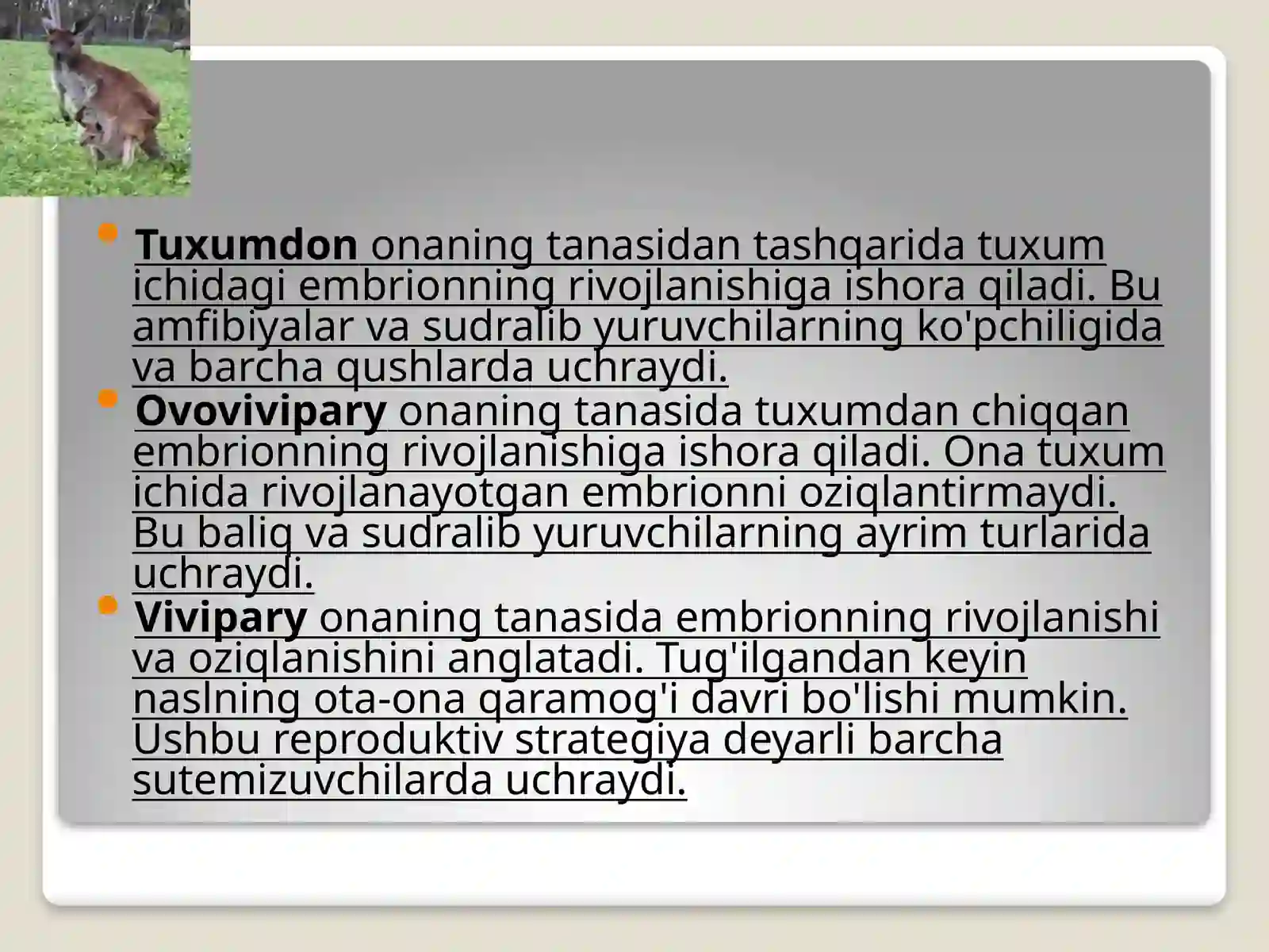 Umurtqali hayvonlarning ko'payishibiologiyasi 3