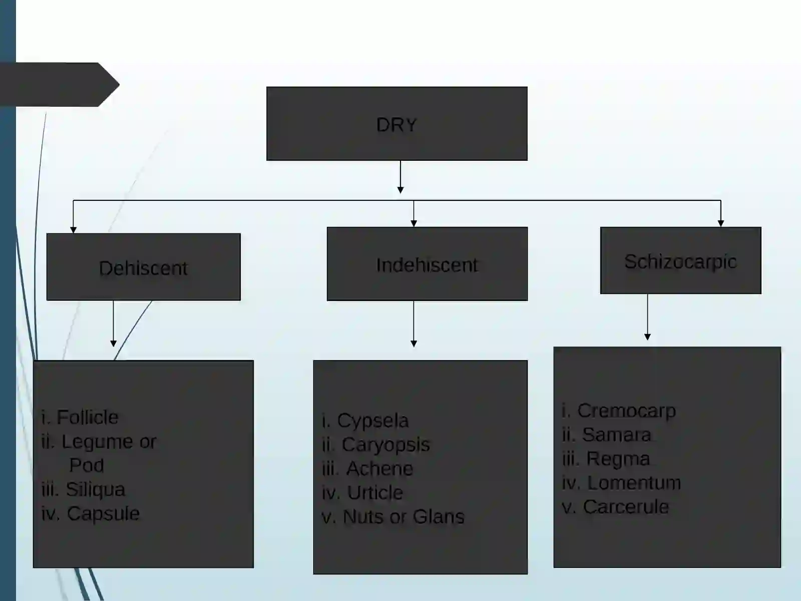 Lecture on fruit 3