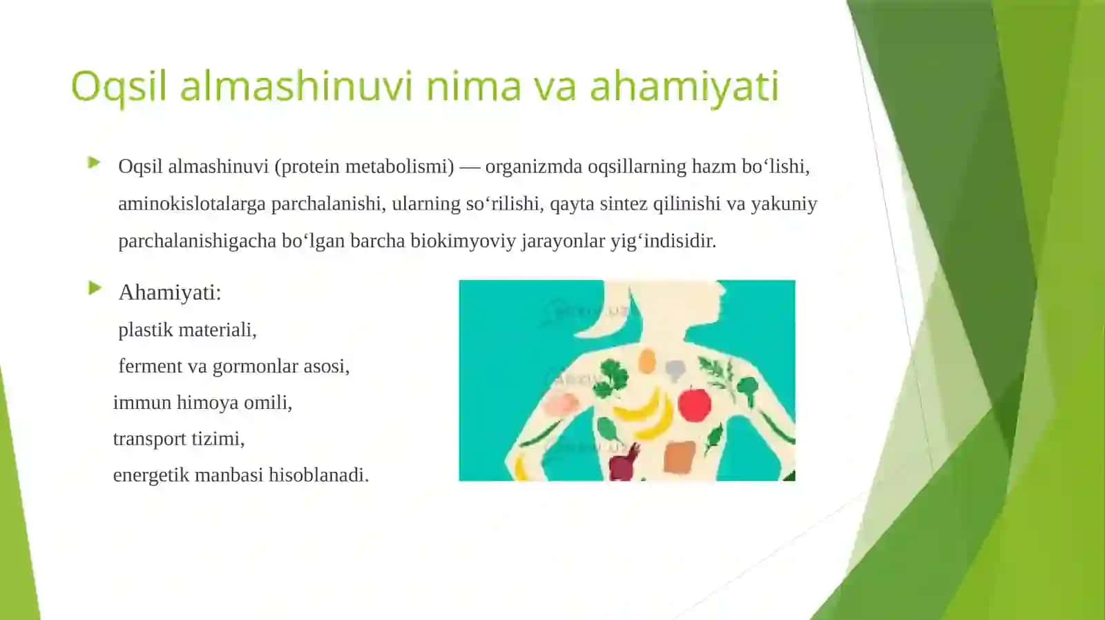 Oqsilalmashinuvi haqida umumiy tushuncha 3