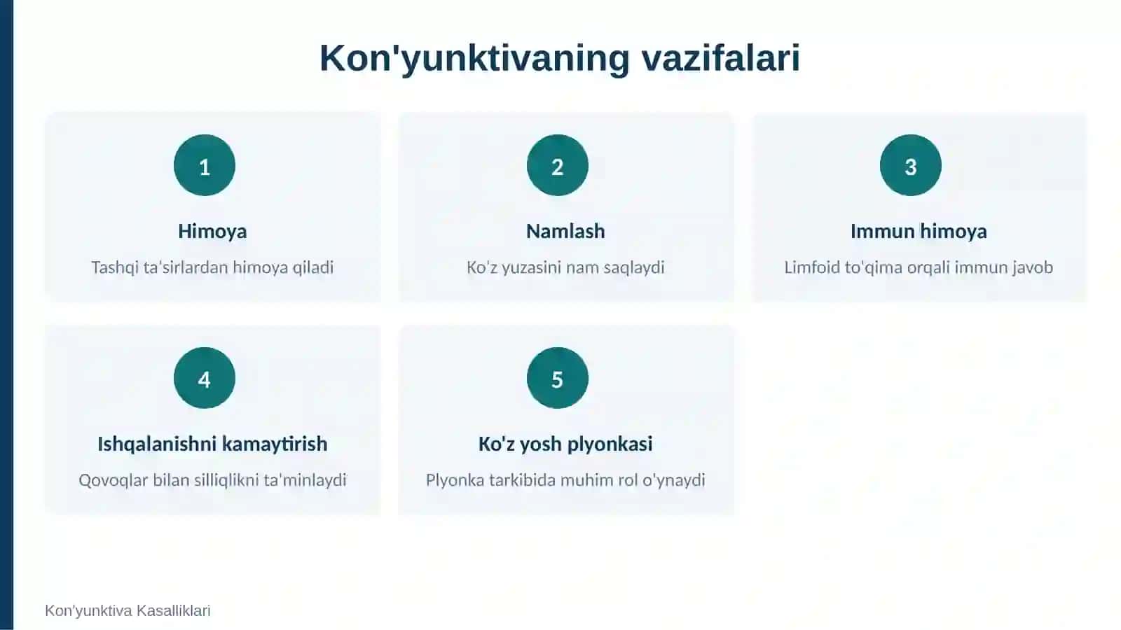 Kon'yunktiva anatomiyasi 3