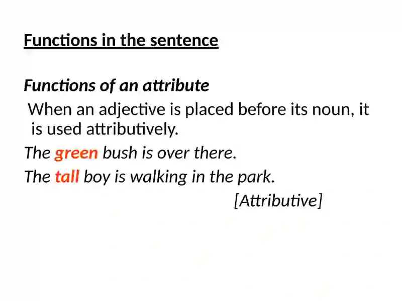 Adjective 3