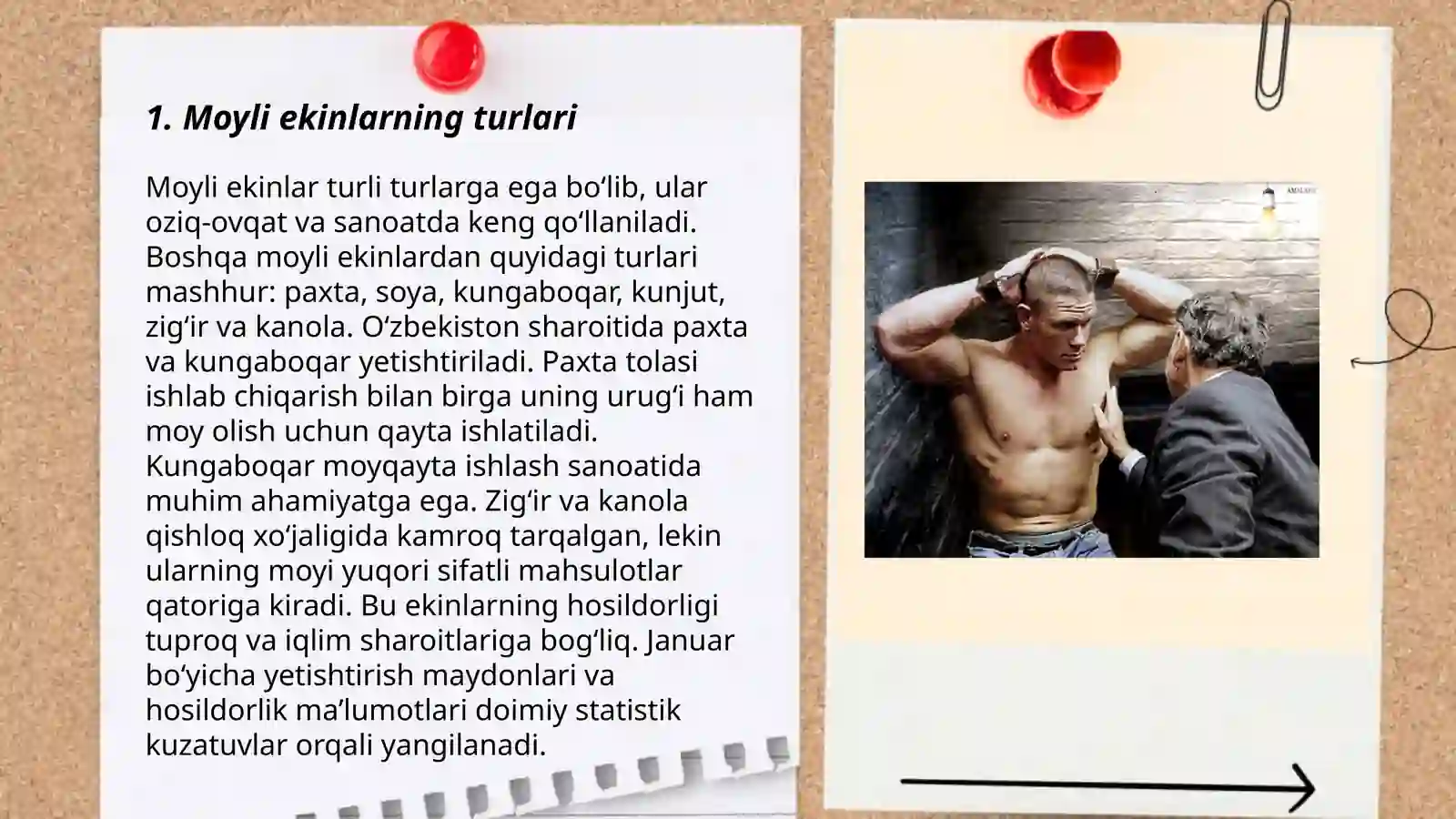Moyli ekinlar va ularning ahamiyati 3