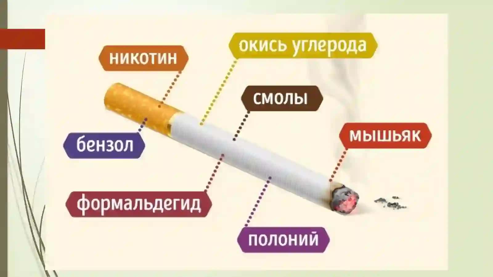 Chekishning Nafas A`zolariga Salbiy Ta`siri 3