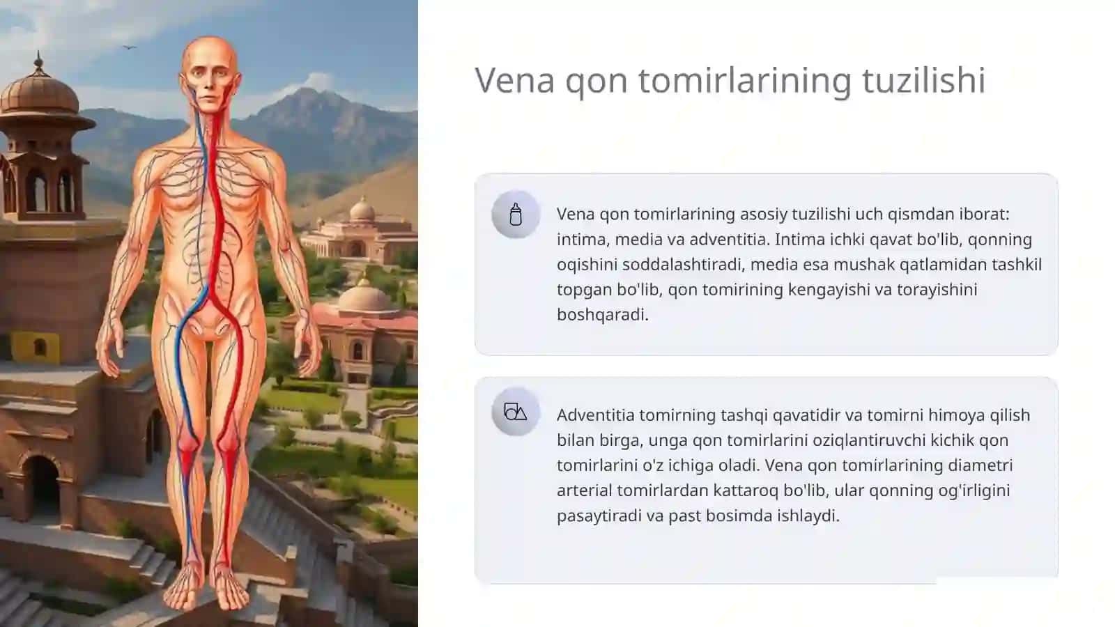 Vena qon tomirlarini ahamiyati 3