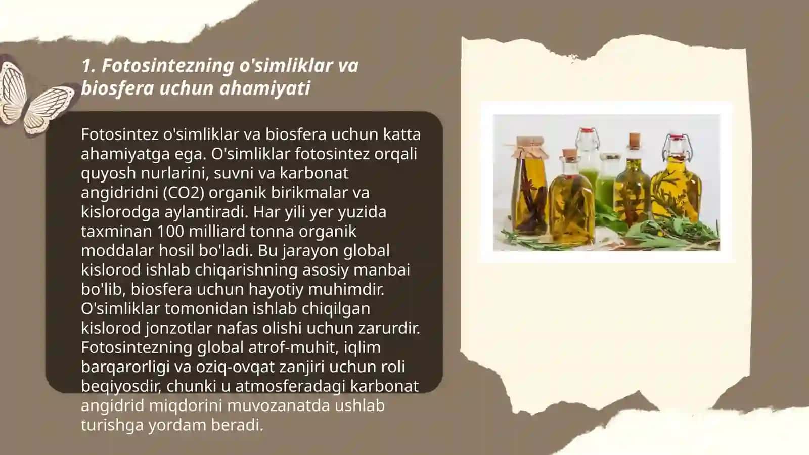 Oʻsimliklarning inson va biosferadagi ahamiyati 3
