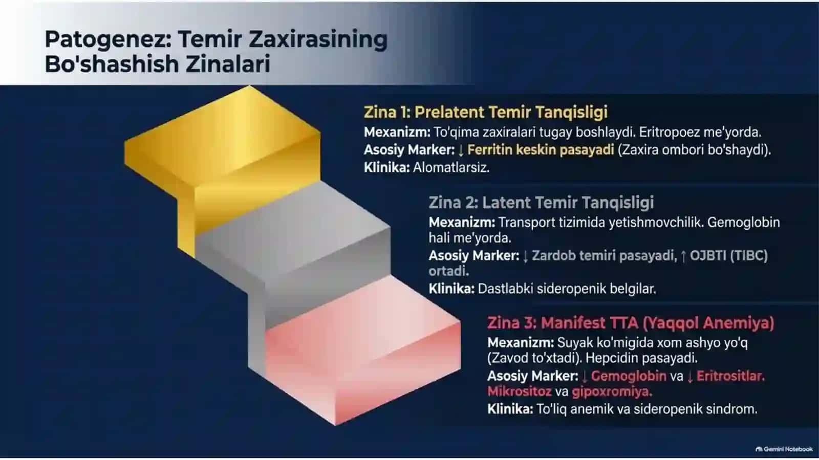 Temir tanqisligi anemiyasi — etiologiya, patogenez, klinika, diagnostika va davolash | 15 slayd 3