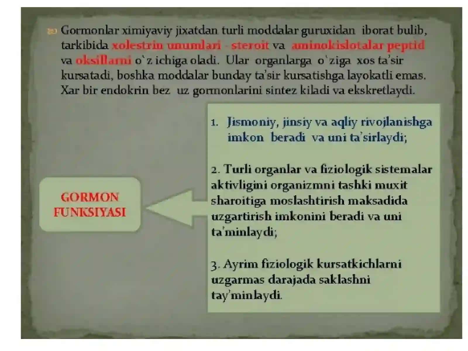 Timus tuzilishi Taraqqiyoti va vazifasi 3