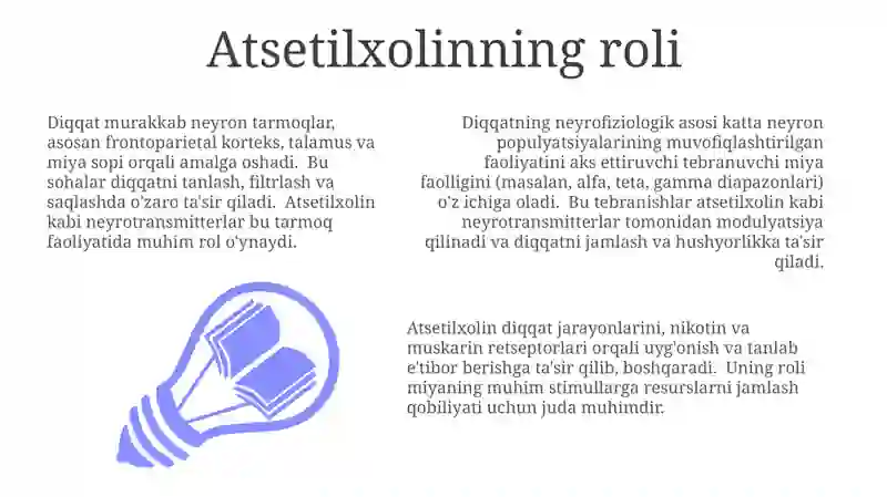 Diqqat haqida tushuncha va uning nerv fiziologik asoslari 3