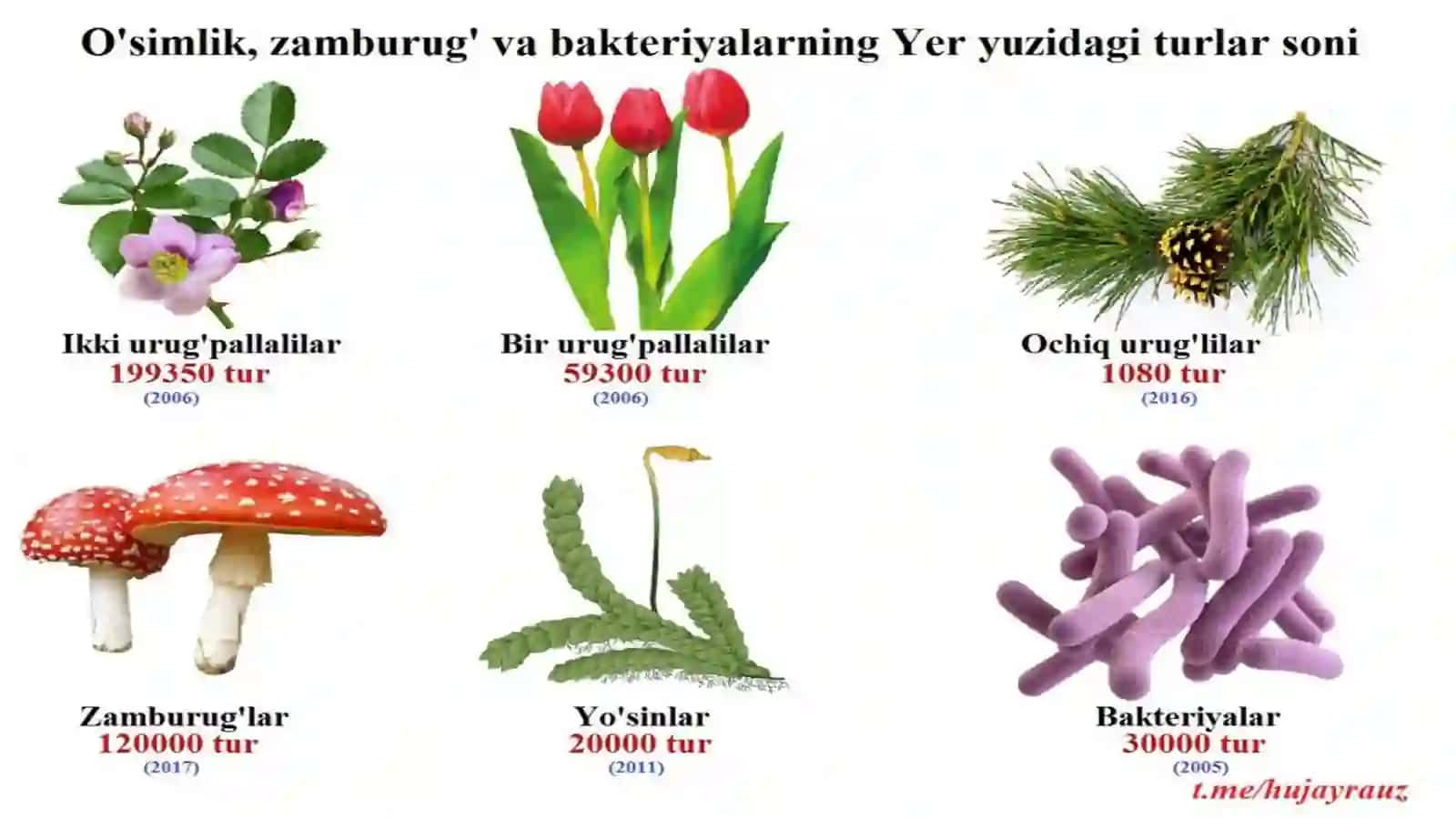 O’sarovJahongir 3