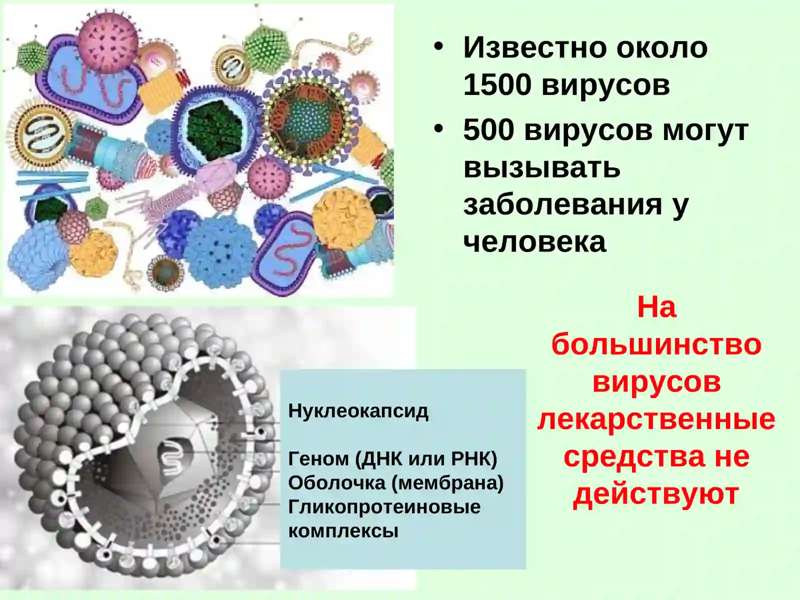 Противовирусные средства 3