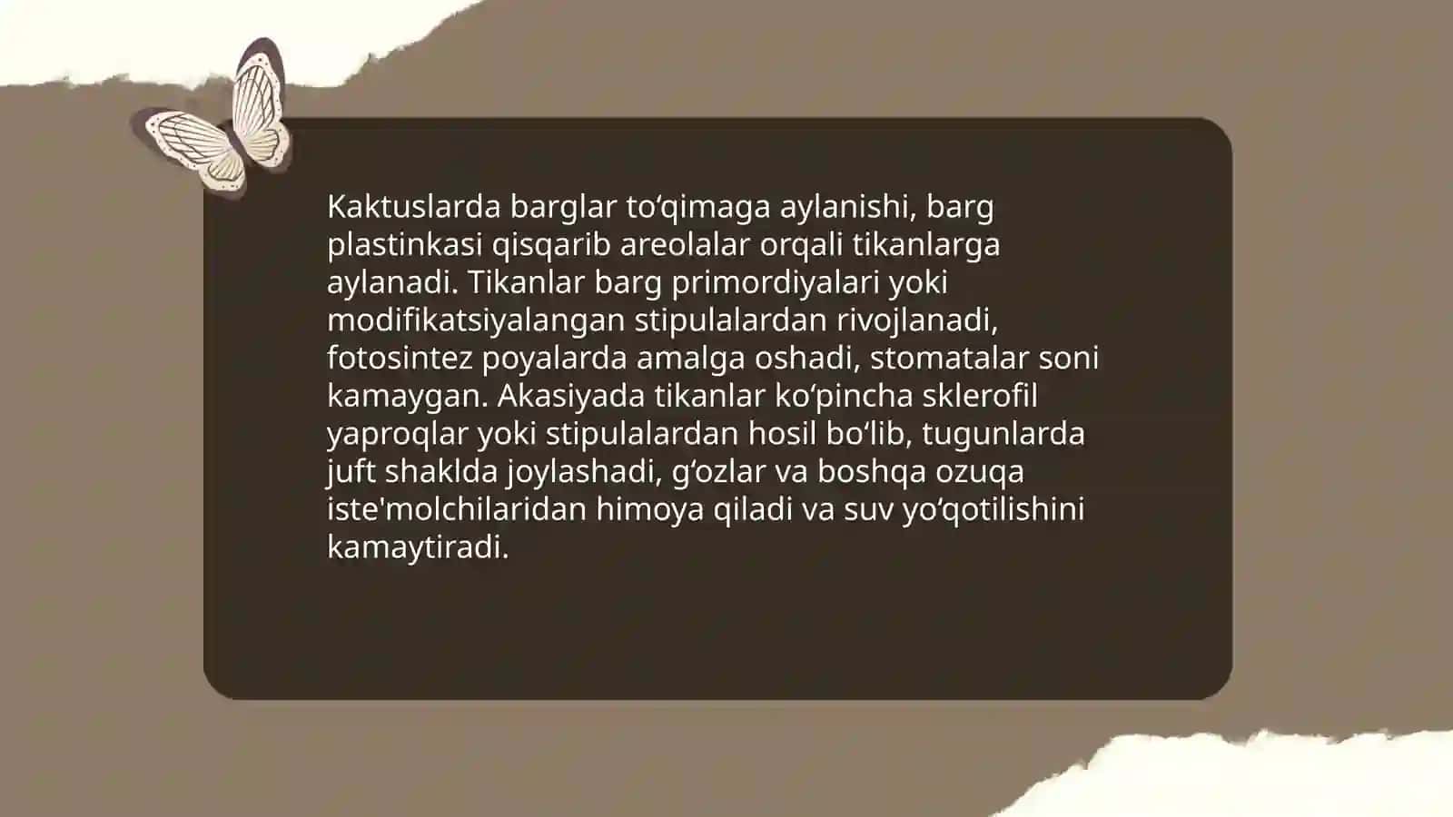 O'simliklarda barglarning modifikatsiyasini amalda ko'rsatish 3