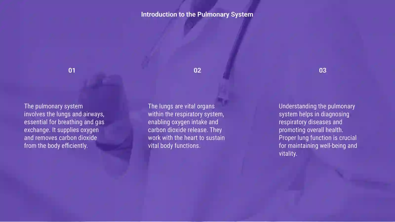Lungs and a pulmonary system 3