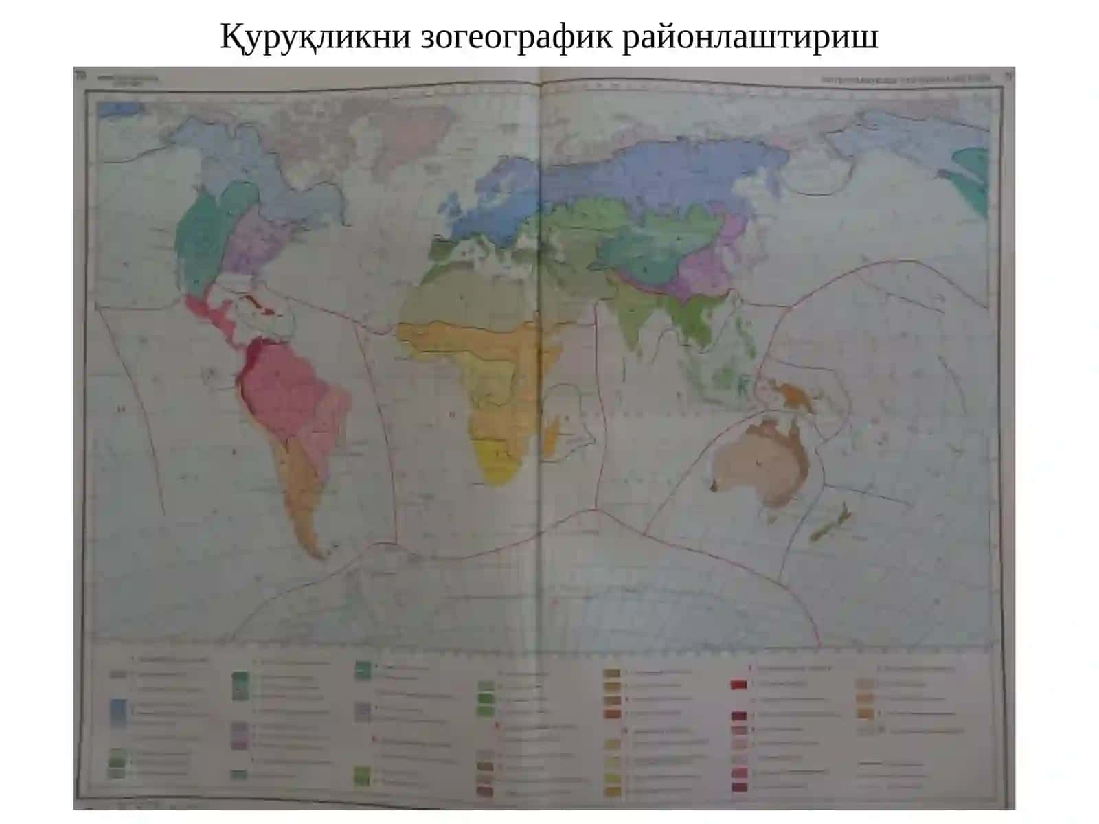 УЗБЕКИСТОНХАЙВОНОТДУНЁСИ 3