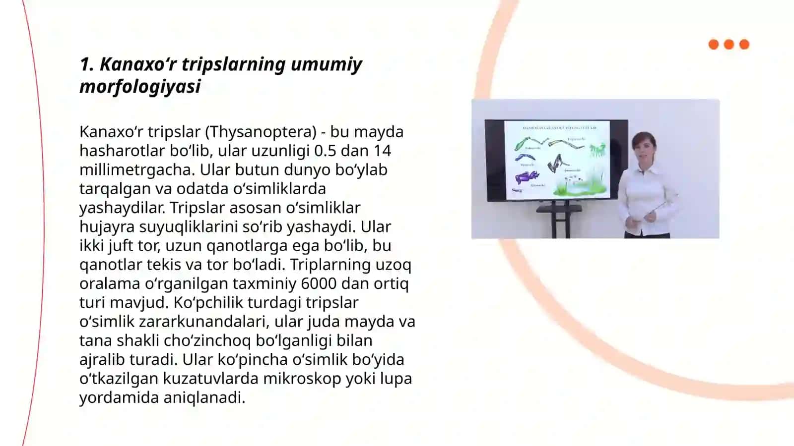 Kanaxoʻr trips yetti nuqtali xonqizlarni morfologiyasini oʻrganish 3