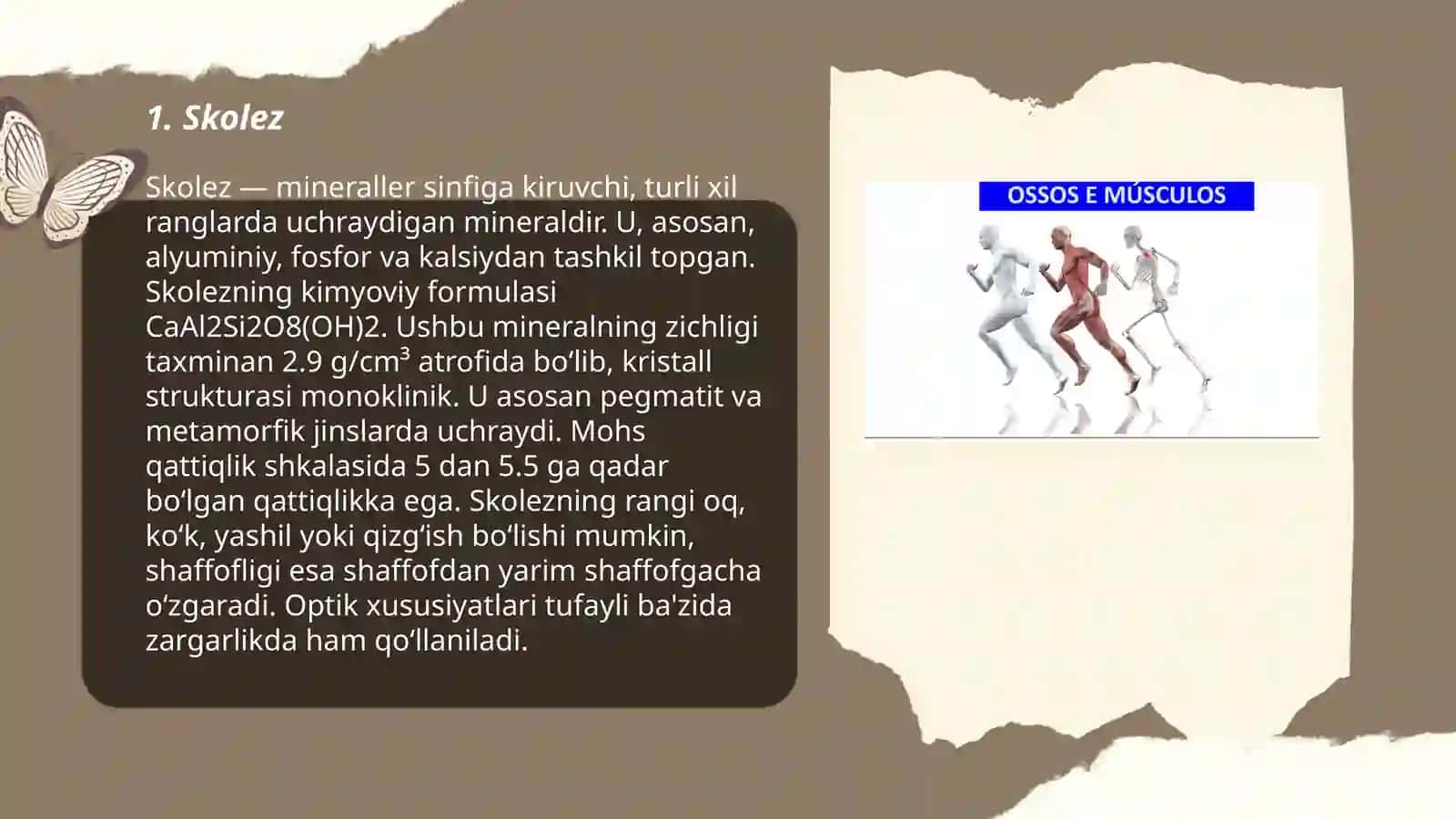 Skeletning rivojlanish anomaliyalari 3