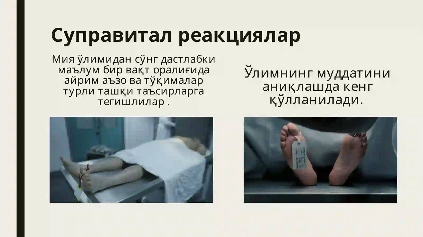 Суправитал реакциялар 3