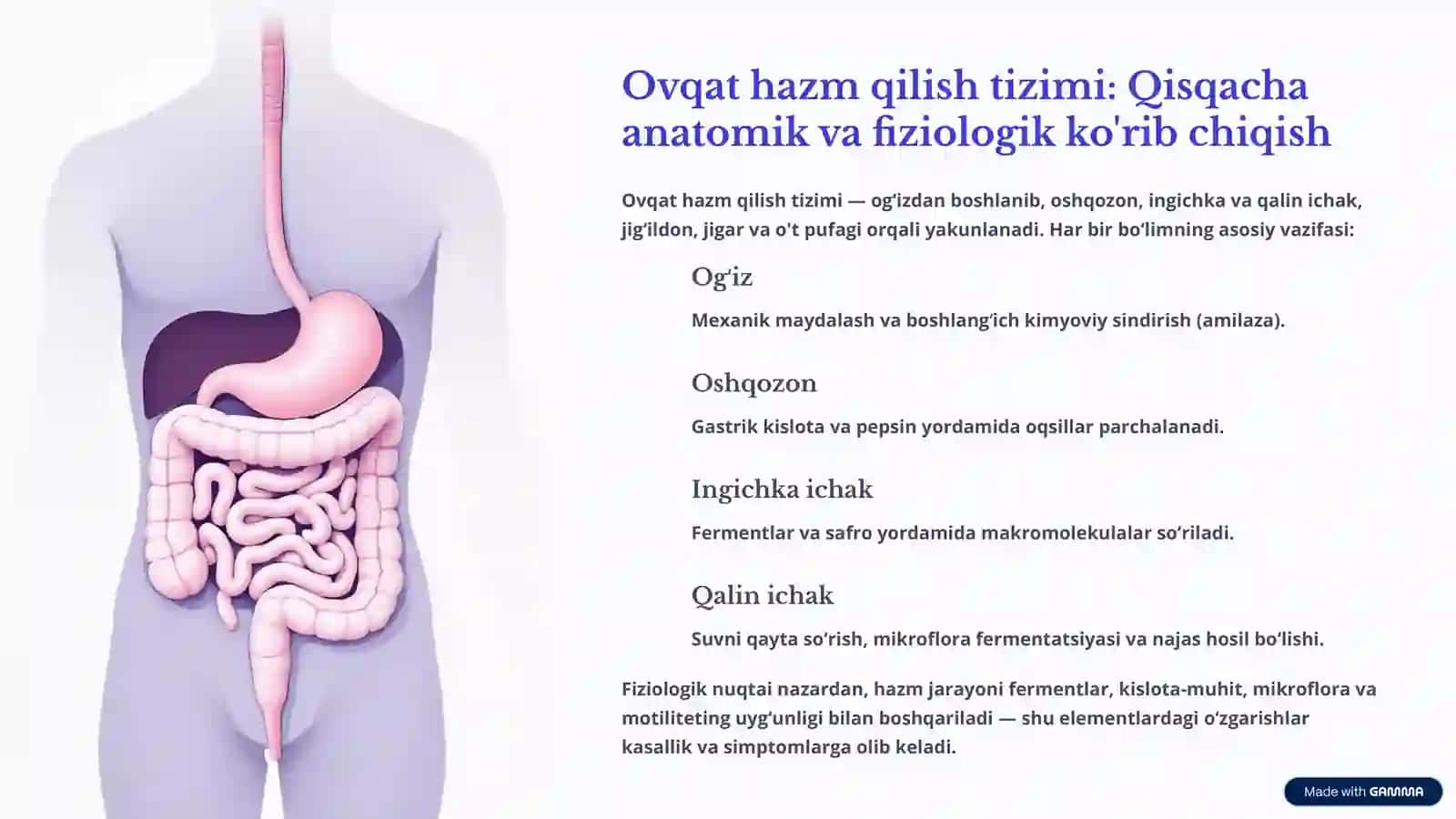 Hazm a’zolari tizimiga ta’sir etuvchi vositalar 3